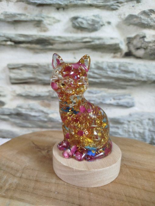 chat lumineux