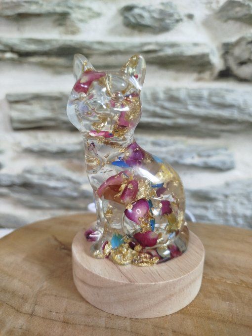 Chat lumineux