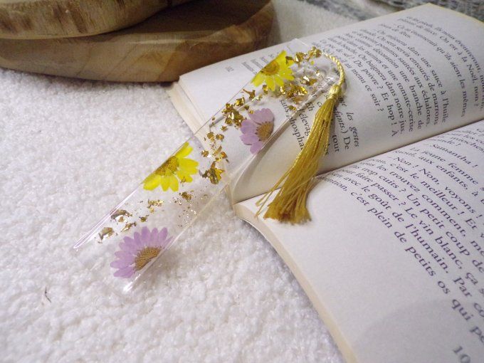 Marque-pages  - Copie