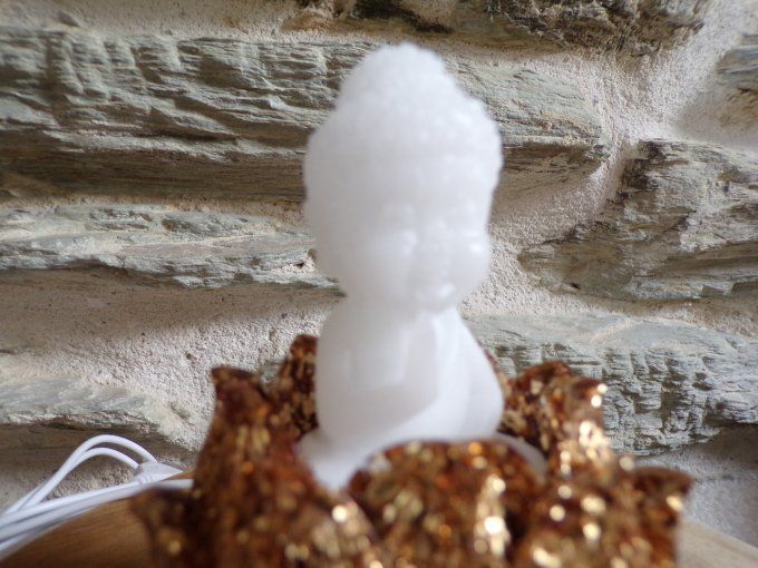 bouddha lumineux