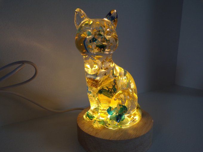 chat lumineux