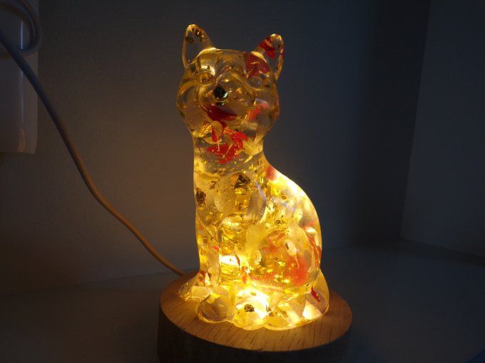 chat lumineux