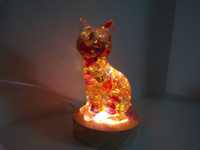 chat lumineux