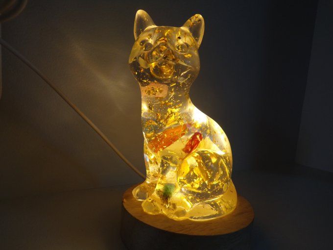 chat lumineux