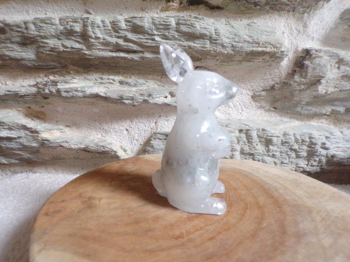 lapin